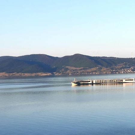 Hotel Kuca Za Odmor-Zelena Oaza Golubac Exterior foto