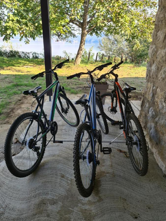 Hotel Kuca Za Odmor-Zelena Oaza Golubac Exterior foto